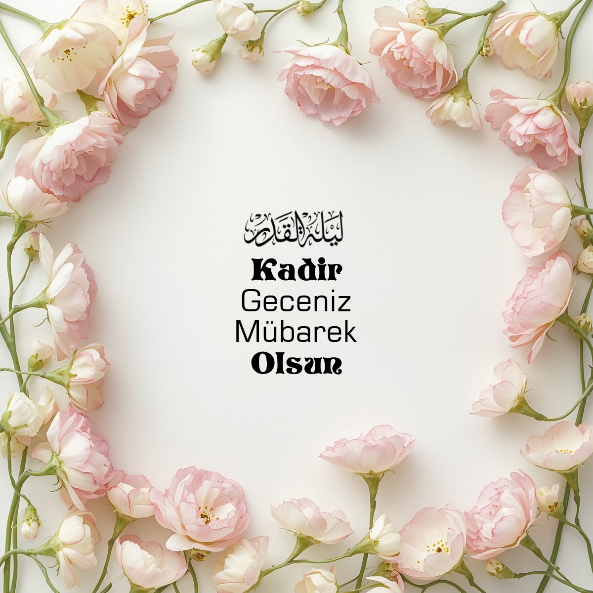 [Image: qG5TmQf.jpg]