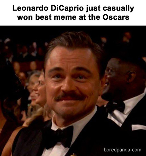 native content meme style leo.jpg
