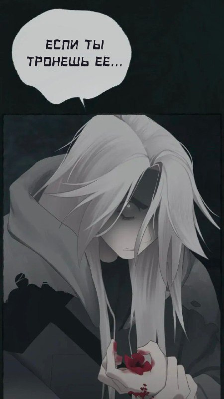 IMG 20260316 125056 346.jpg