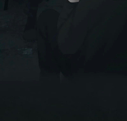 IMG 20260316 125653 011.jpg