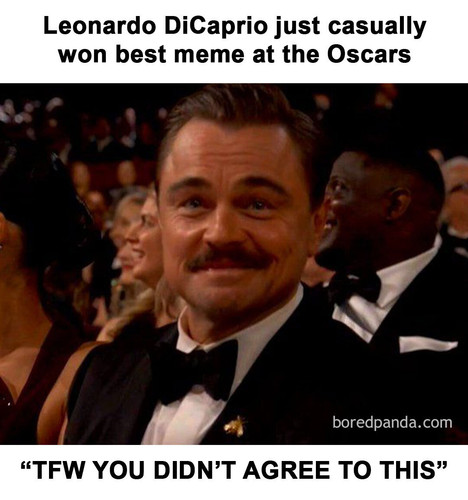 native content meme style leo 2.jpg