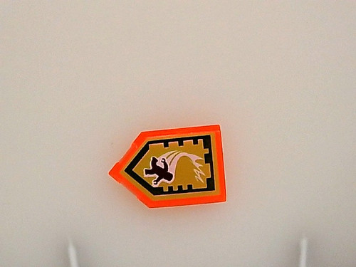 095937228.jpg