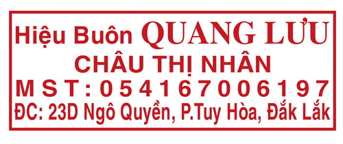 quang luu.jpg