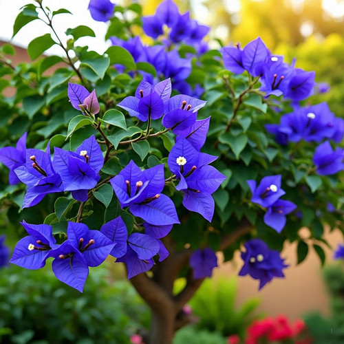 718r+f0jVlL. SL1280 .jpg