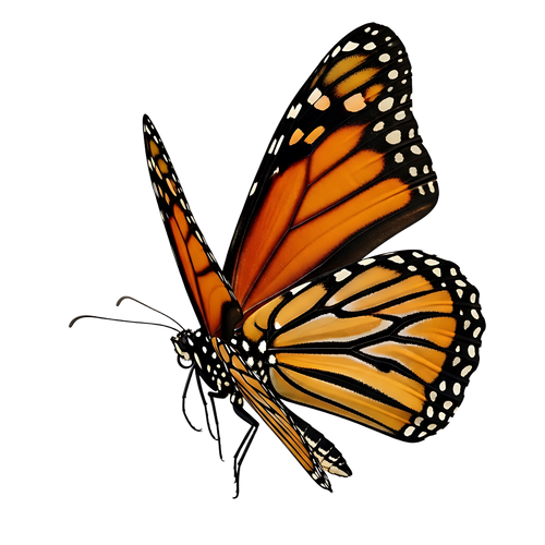 a3a45d22cb68.png