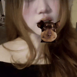 0306 12.gif