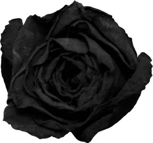 Steampunk 169 (148).png