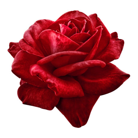 Steampunk 169 (22).png