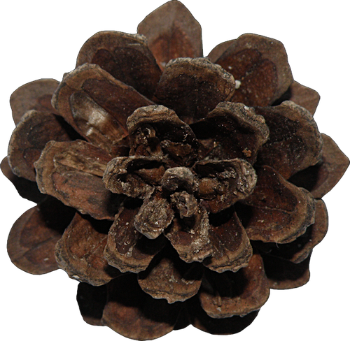 Steampunk 169 (90).png