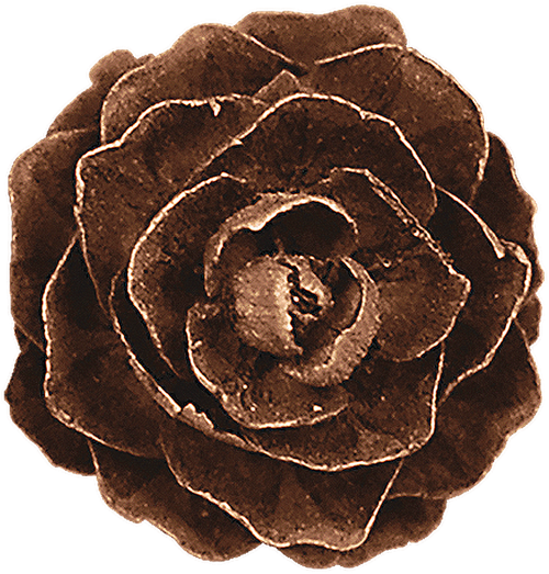 Steampunk 169 (91).png