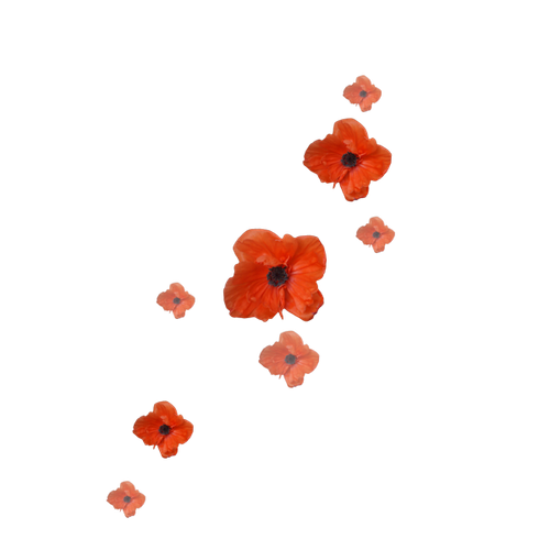 Steampunk 169 (16).png