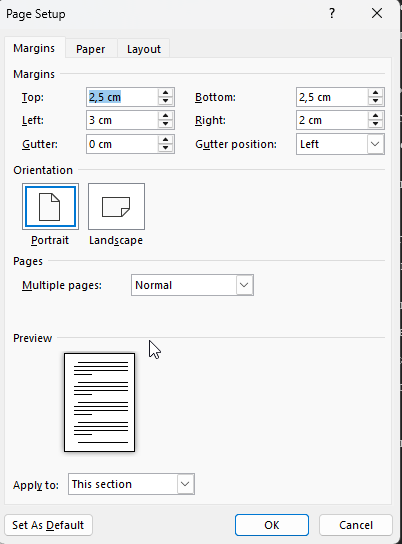 WINWORD zVSOEC21ok.png