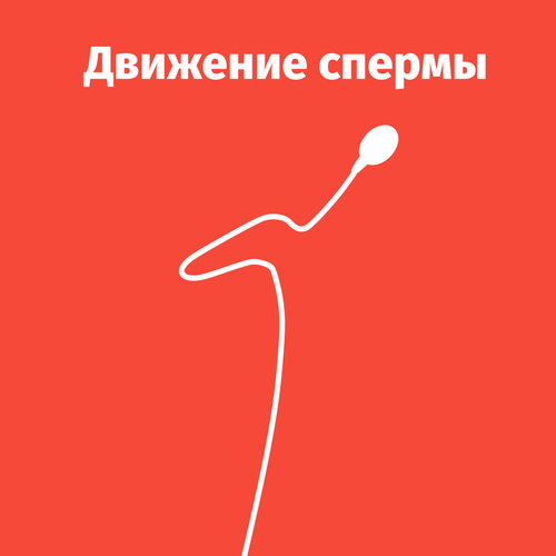 Без названия994 20260201112049 (3).png