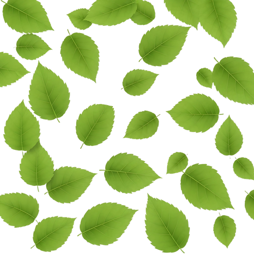 6ecd02426b62.png