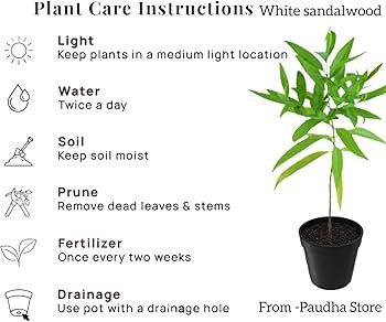 61NLOk3 tpL. AC UF350,350 QL80 .jpg