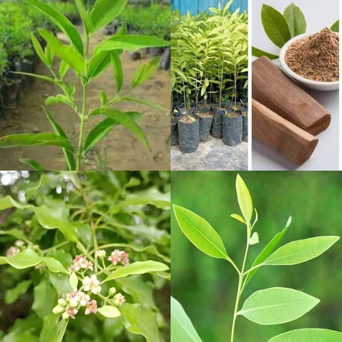 61q4jxUrnCL. AC UF1000,1000 QL80 .jpg