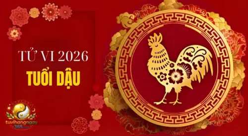 Tử Vi Tuổi Dậu Năm 2026.webp