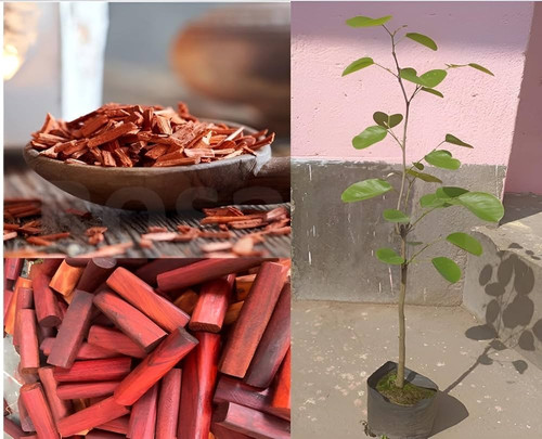 71J7ZVu208L. AC UF1000,1000 QL80 .jpg