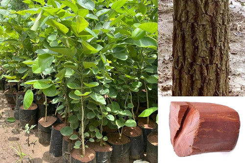 71B35yiPbZL. AC UF1000,1000 QL80 .jpg