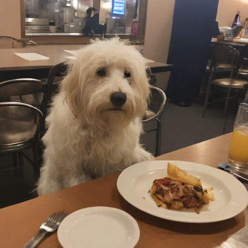 kanji ã¯ãã¶ã.png