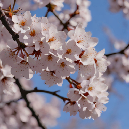 kanji ã¨ã¤ããªã«.png