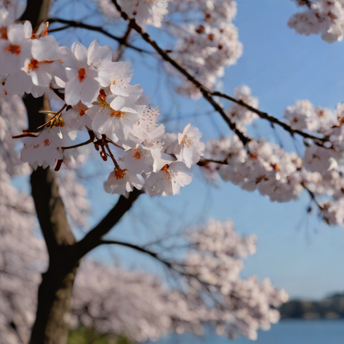 kanji ï¼ãï¼è±è¦.png