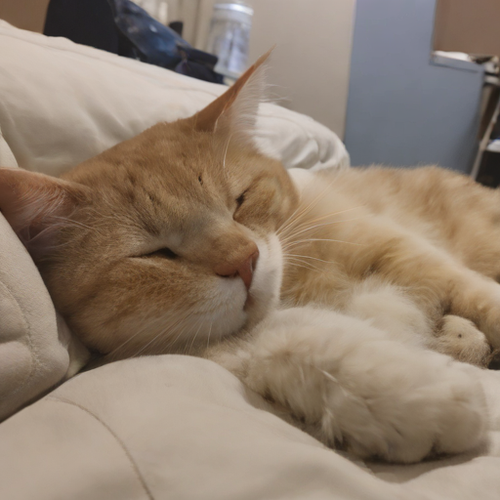 kanji æ¼å¯.png