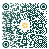 qr.png