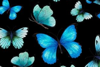 QQ20260316 140851.png