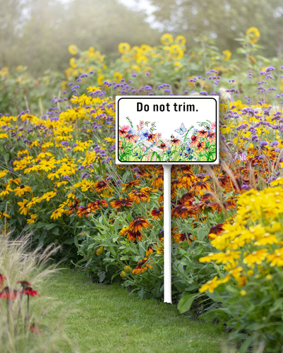 trim11 19.png