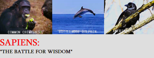 SAPIENS.png