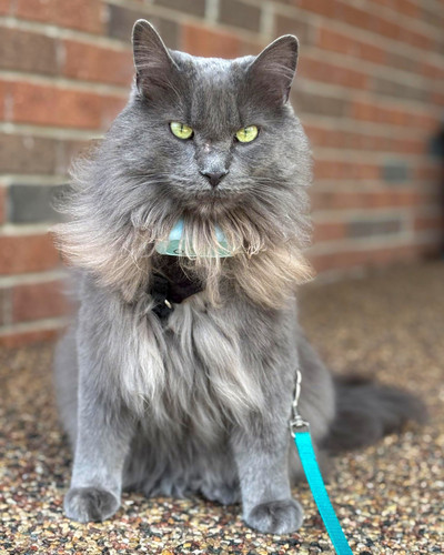 652320076 1486245873061149 1102441908667637953 n.jpg