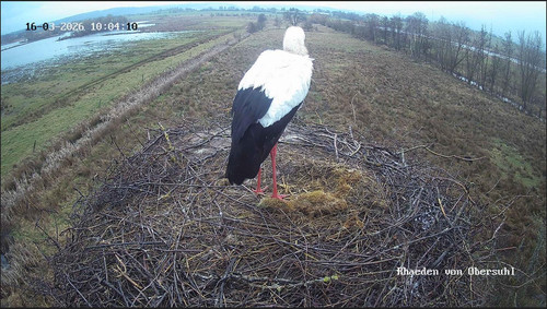 MWSnap386.jpg