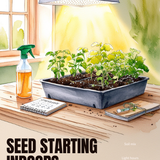 0001 1121893390214039858.png