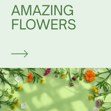 0001 5277589948751202761.png