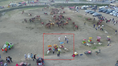 0000366 03921 d 0000797 annotated.png