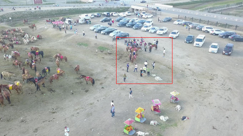 0000366 04117 d 0000798 annotated.png