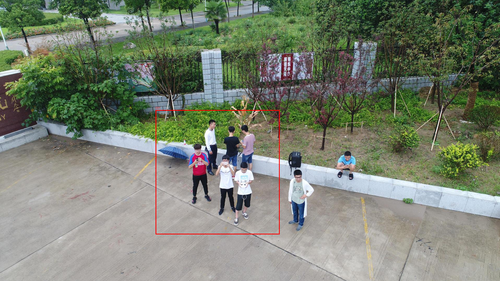 9999937 00000 d 0000002 annotated.png