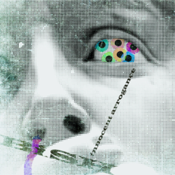 6a1bf74646a5.png