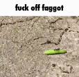 8ae193e55e1c.gif