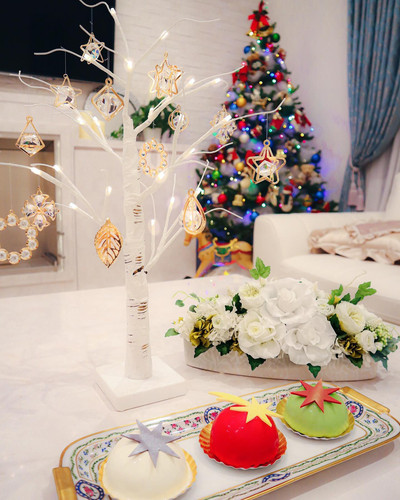 20201225 114644 CJODXA7HmfK 01.jpg