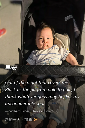 f155c0daace7.png