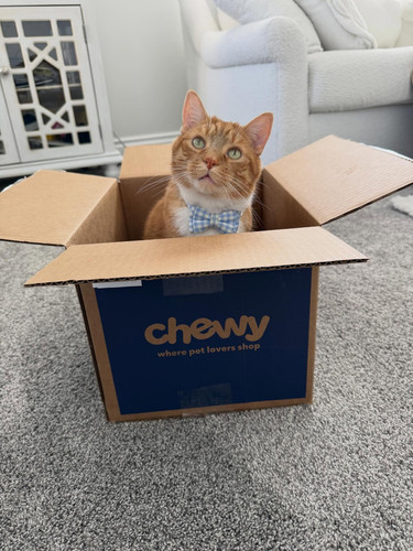 651810683 18076353362579319 806808912388884969 n.jpg