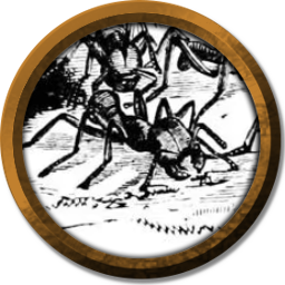 token formiga gigante.png