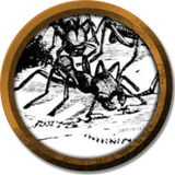 token formiga gigante