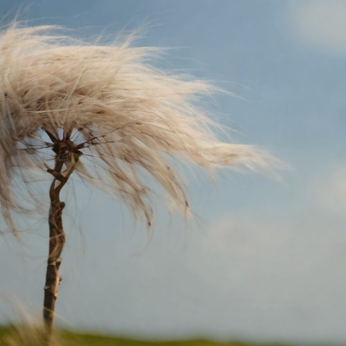 kanji å¹ã.png