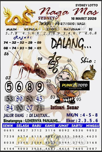 a6.jpg
