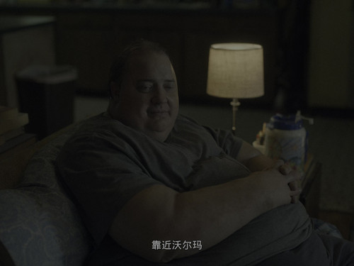 The.Whale.2022.ITA.BluRay.2160p.UHD.x265.DTS HD.MA.5.1 UBits 003850.jpg