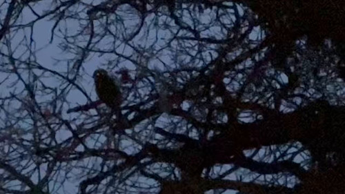 Durm7KbgaXu joYK.jpg