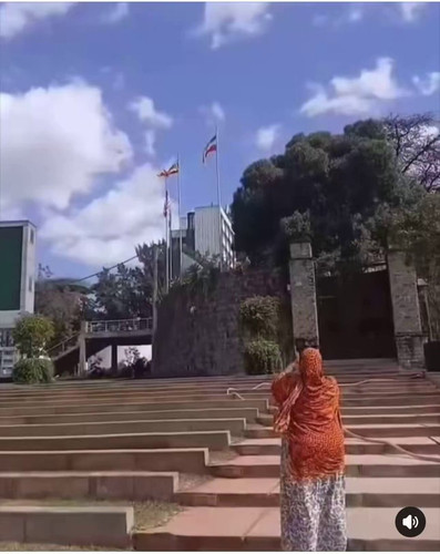 rwVd2NtLhcDZ TDl.jpg